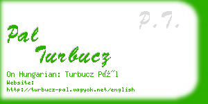 pal turbucz business card